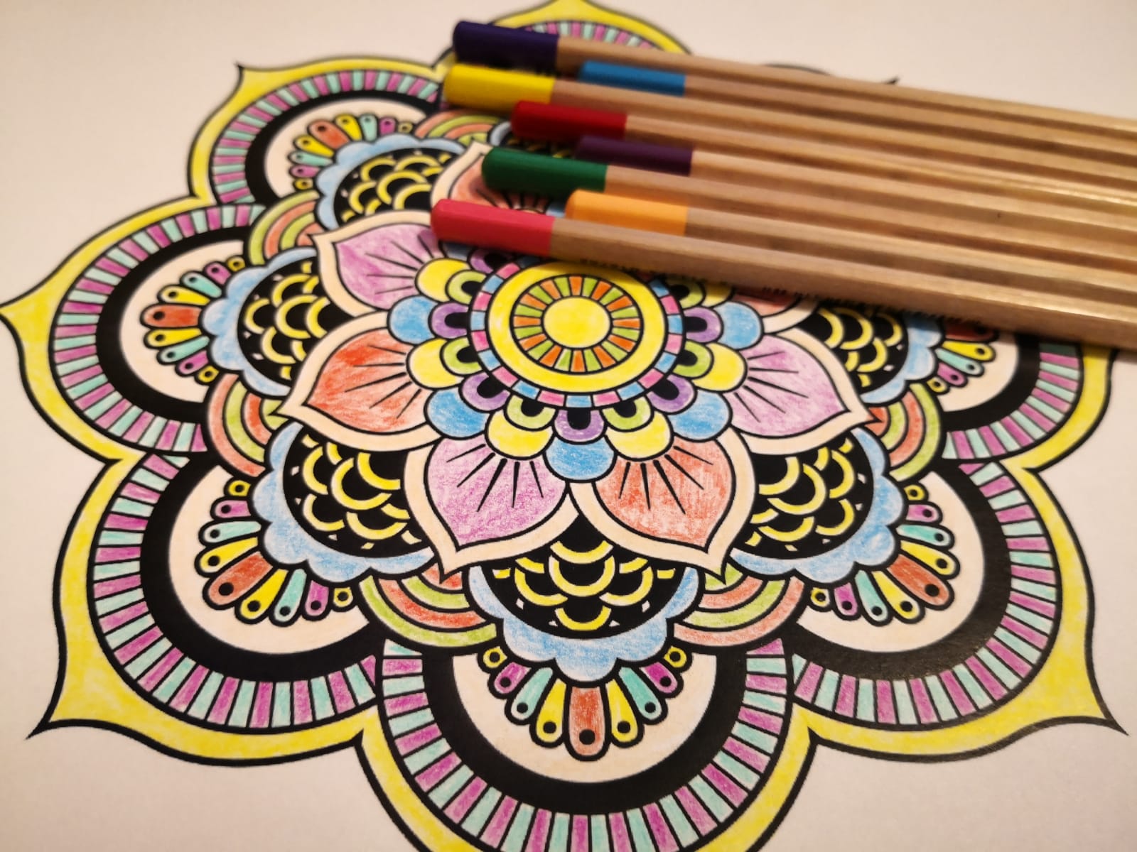 WhatsApp Image 2021 02 15 at 09.33.06